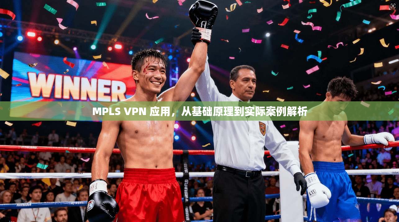 MPLS VPN 应用，从基础原理到实际案例解析