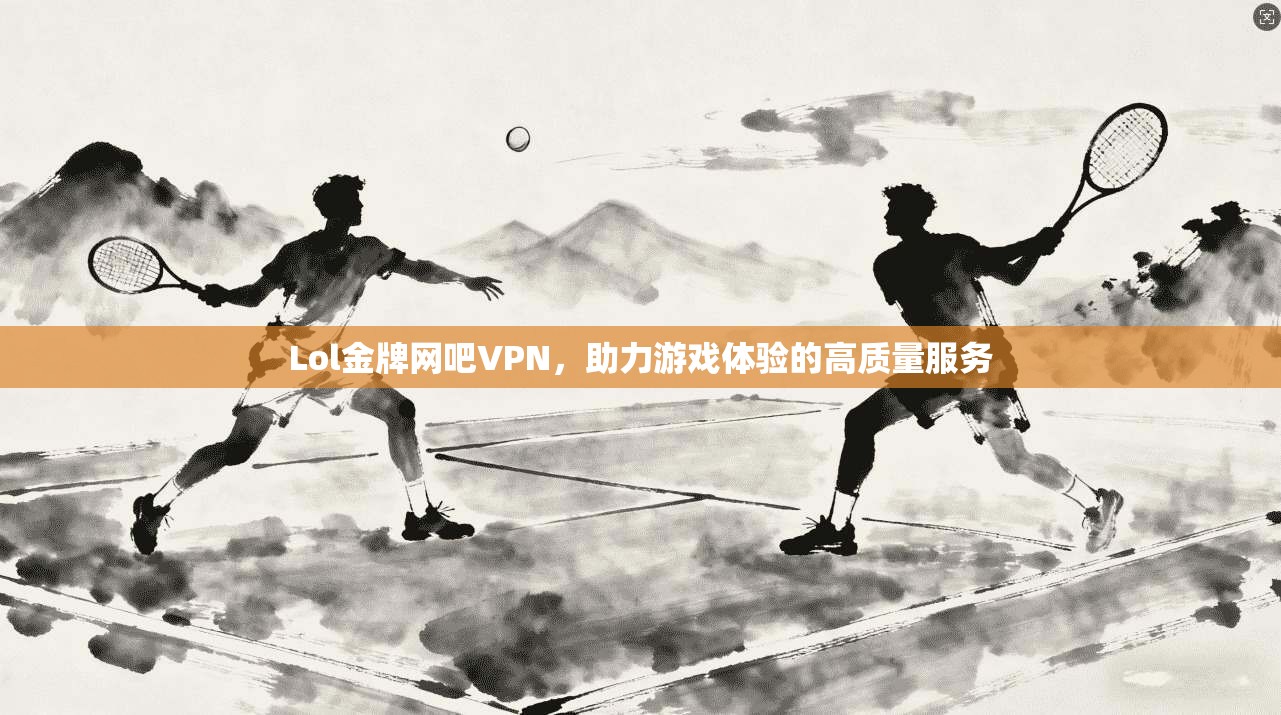 Lol金牌网吧VPN，助力游戏体验的高质量服务