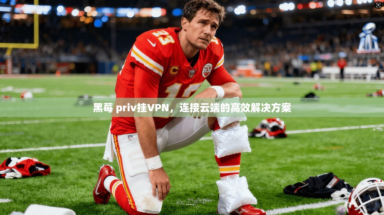 黑莓 priv挂VPN，连接云端的高效解决方案