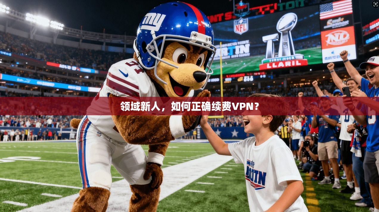 领域新人，如何正确续费VPN？