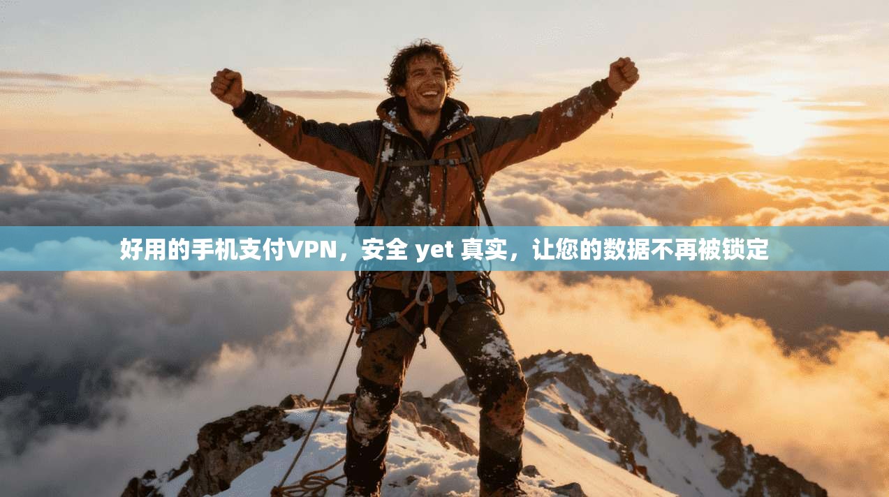 好用的手机支付VPN，安全 yet 真实，让您的数据不再被锁定