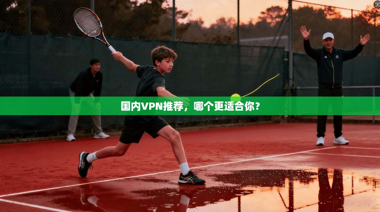 国内VPN推荐，哪个更适合你？
