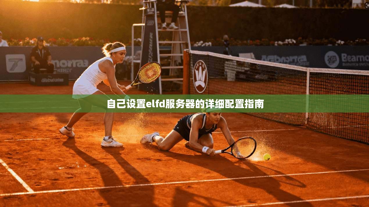 自己设置elfd服务器的详细配置指南