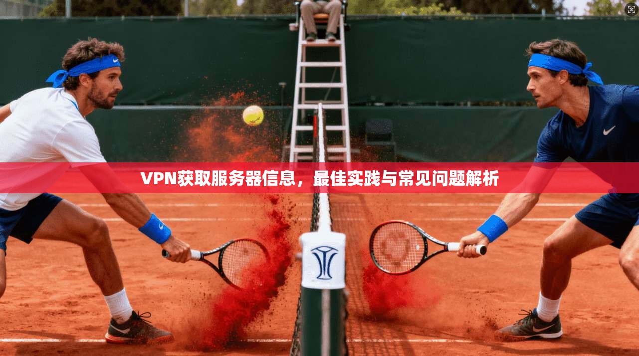 VPN获取服务器信息，最佳实践与常见问题解析