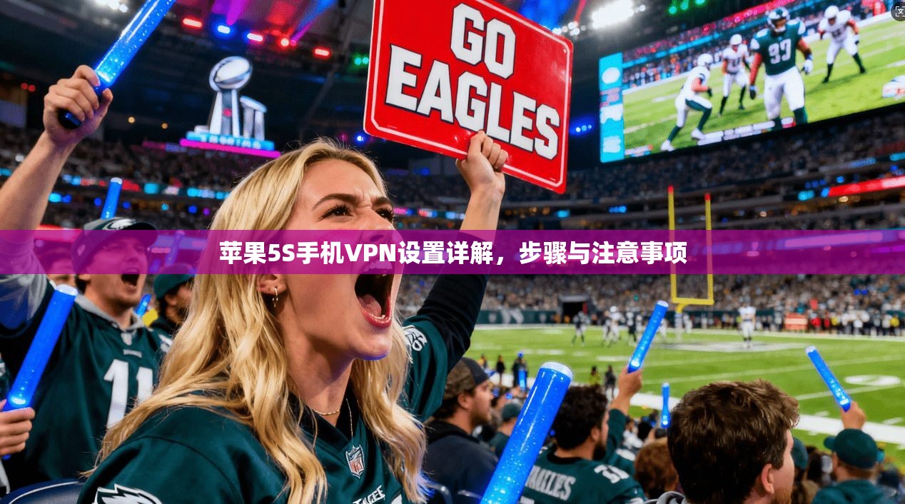 苹果5S手机VPN设置详解，步骤与注意事项
