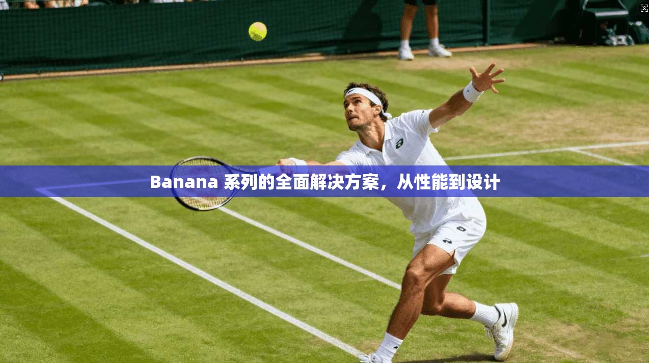 Banana 系列的全面解决方案，从性能到设计