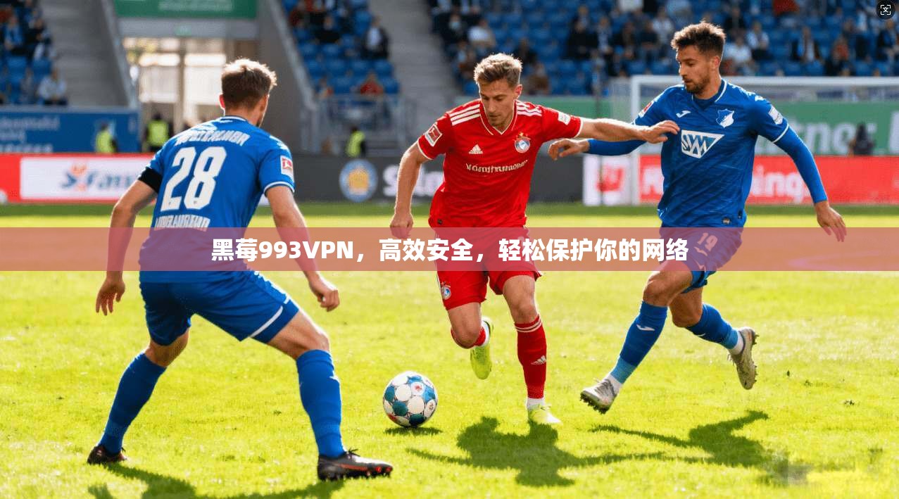 黑莓993VPN，高效安全，轻松保护你的网络
