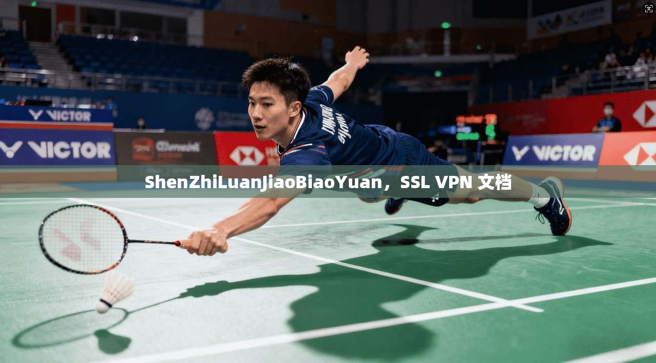 ShenZhiLuanJiaoBiaoYuan，SSL VPN 文档