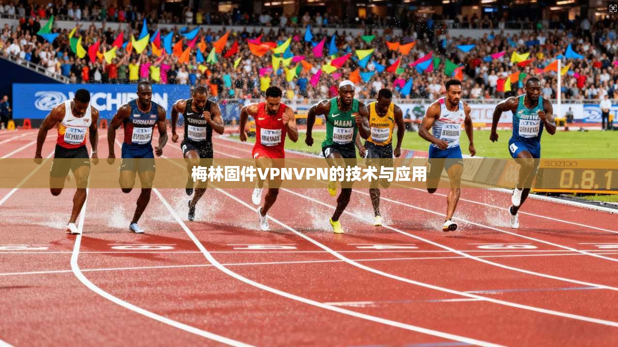 梅林固件VPNVPN的技术与应用