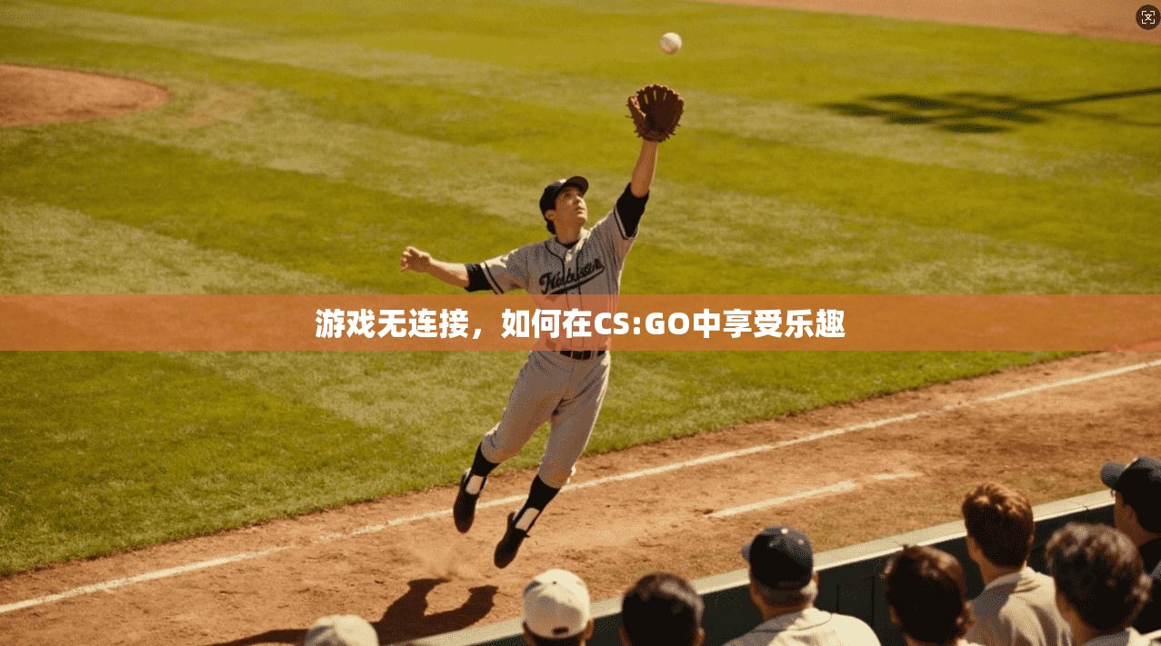 游戏无连接，如何在CS:GO中享受乐趣