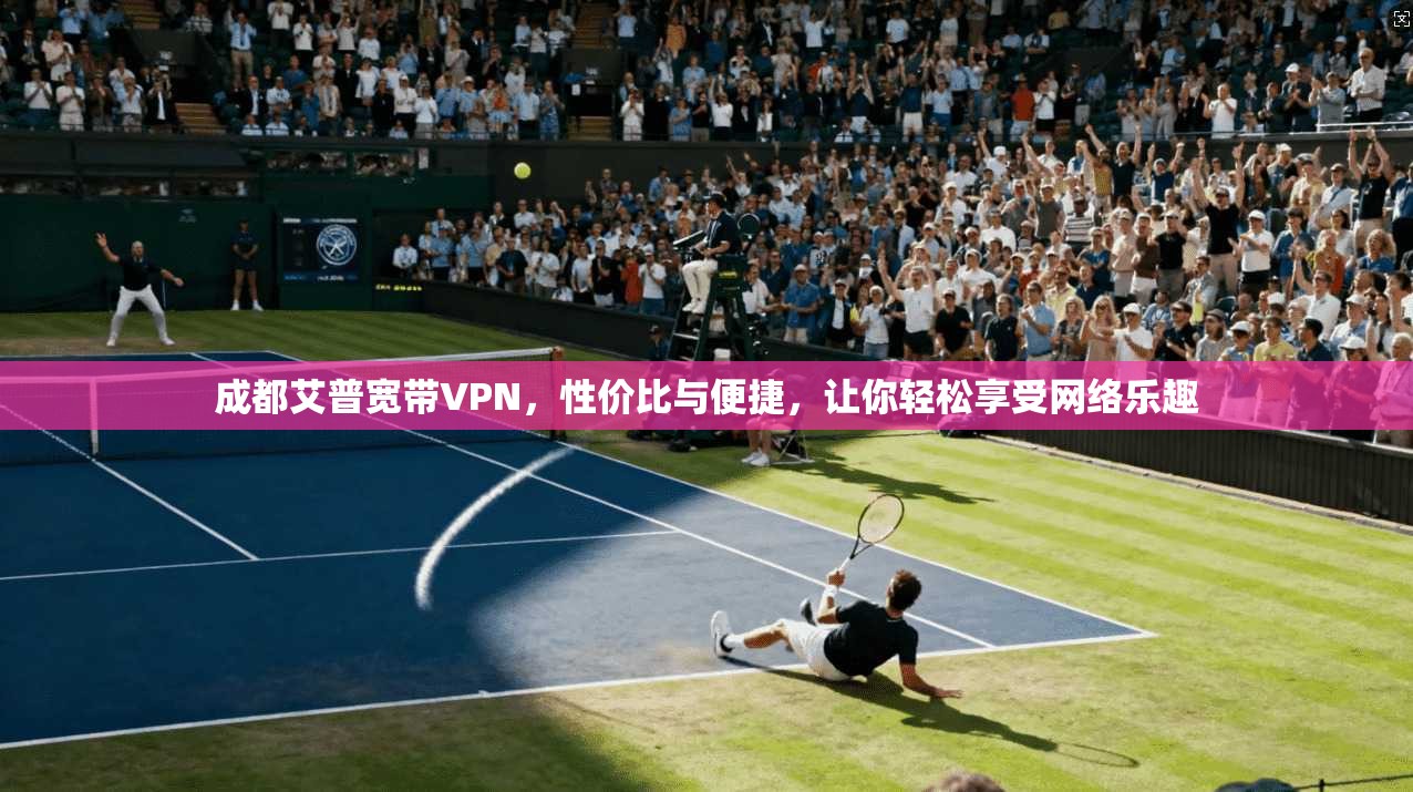 成都艾普宽带VPN，性价比与便捷，让你轻松享受网络乐趣