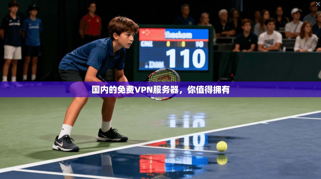 国内的免费VPN服务器，你值得拥有