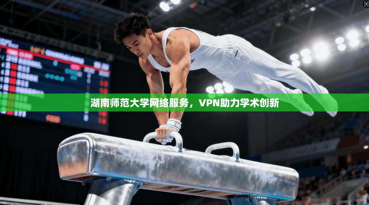 湖南师范大学网络服务，VPN助力学术创新