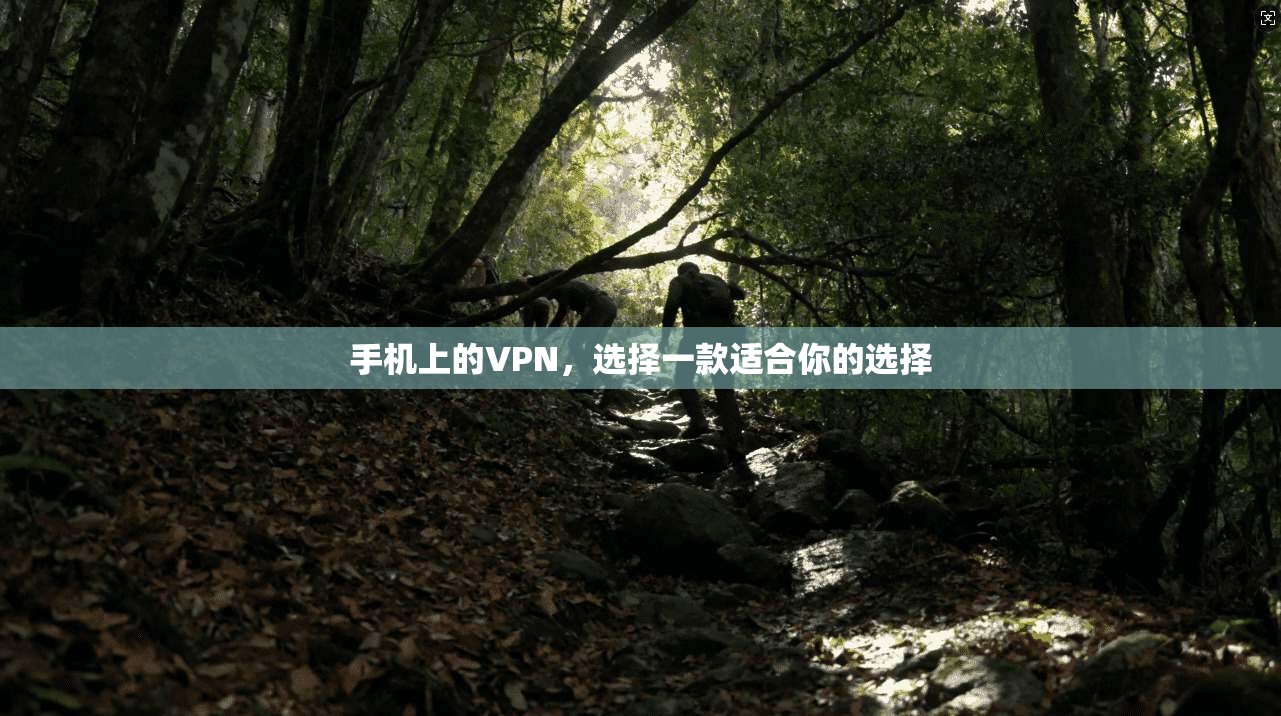 手机上的VPN，选择一款适合你的选择