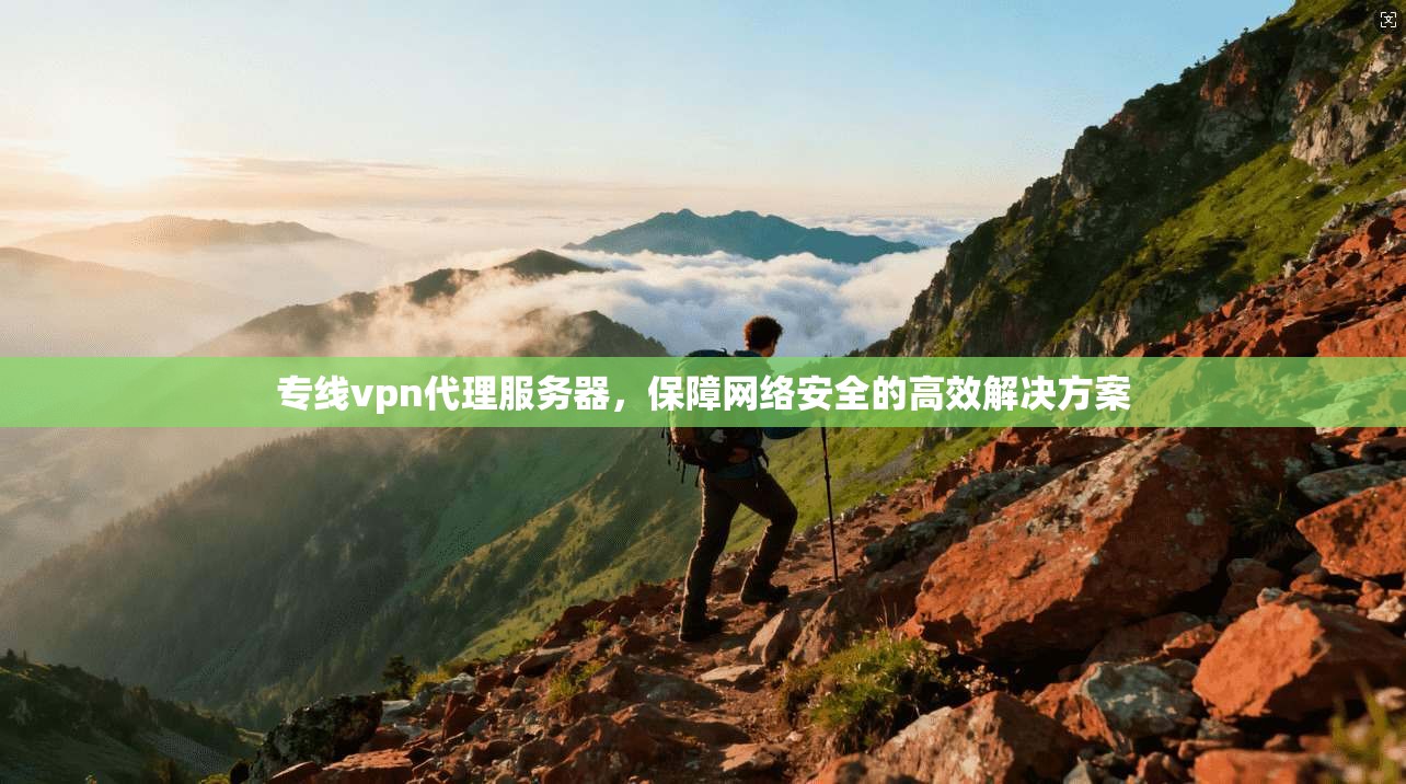 专线vpn代理服务器，保障网络安全的高效解决方案