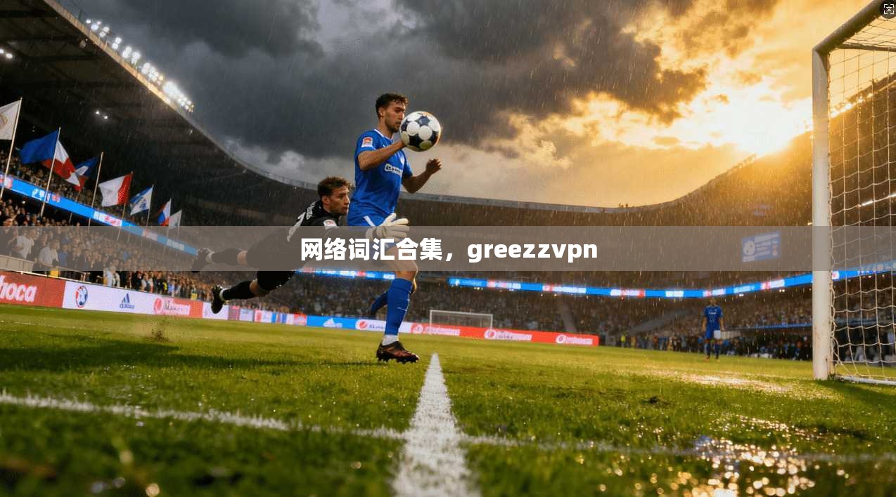 网络词汇合集，greezzvpn