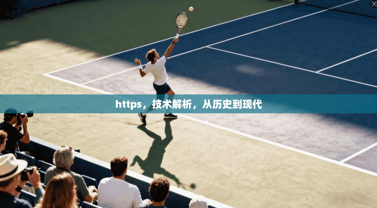 https，技术解析，从历史到现代