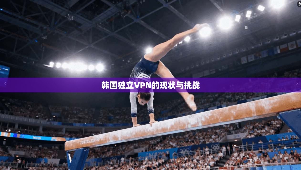 韩国独立VPN的现状与挑战