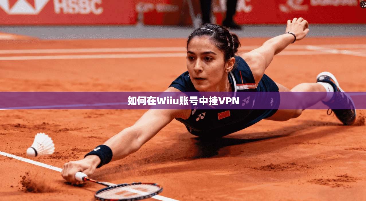 如何在Wiiu账号中挂VPN