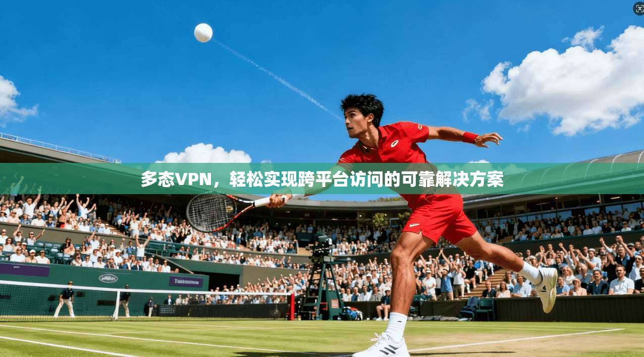 多态VPN，轻松实现跨平台访问的可靠解决方案