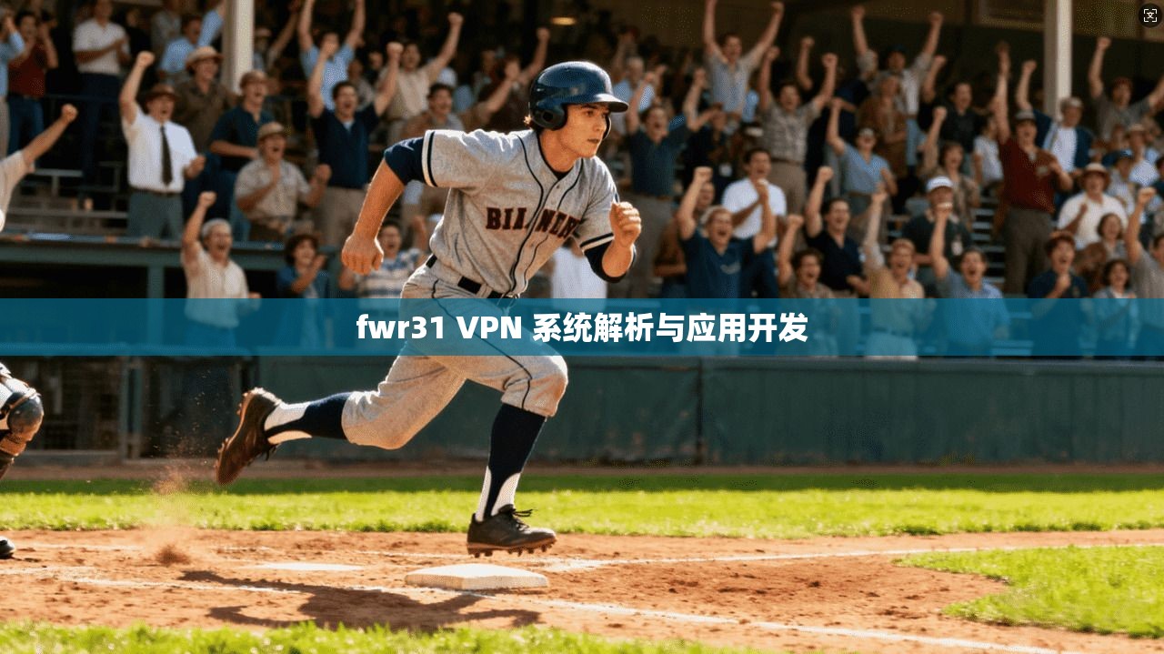 fwr31 VPN 系统解析与应用开发
