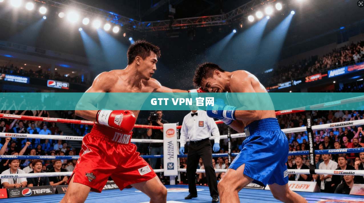 GTT VPN 官网