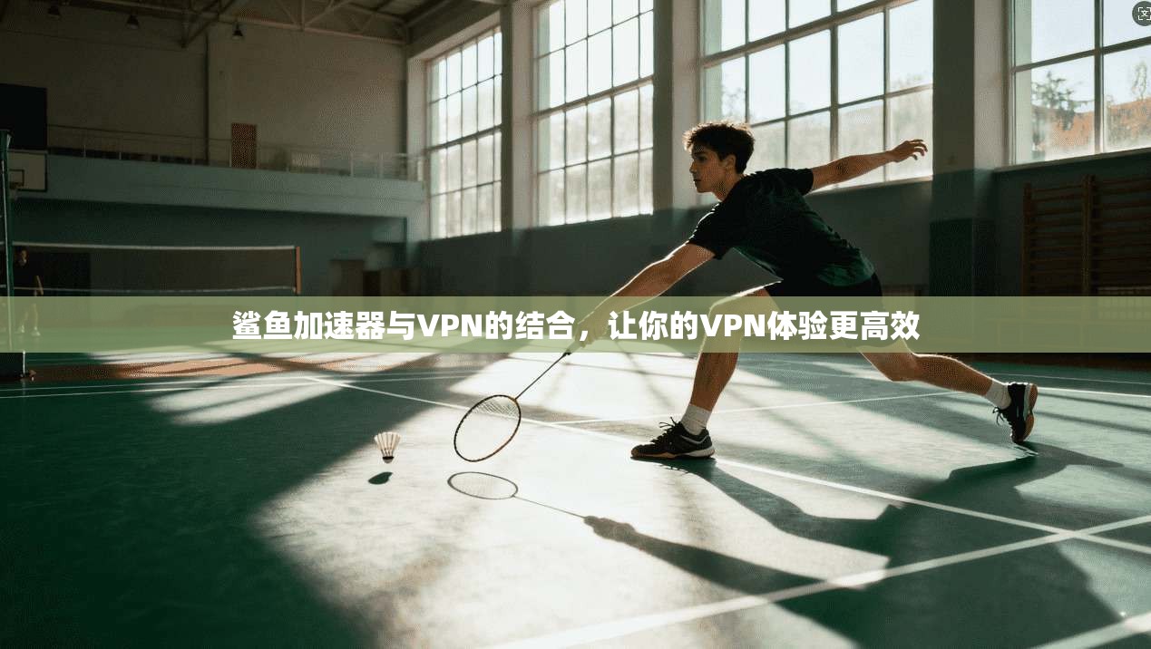 鲨鱼加速器与VPN的结合，让你的VPN体验更高效