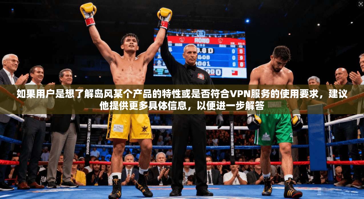如果用户是想了解岛风某个产品的特性或是否符合VPN服务的使用要求，建议他提供更多具体信息，以便进一步解答
