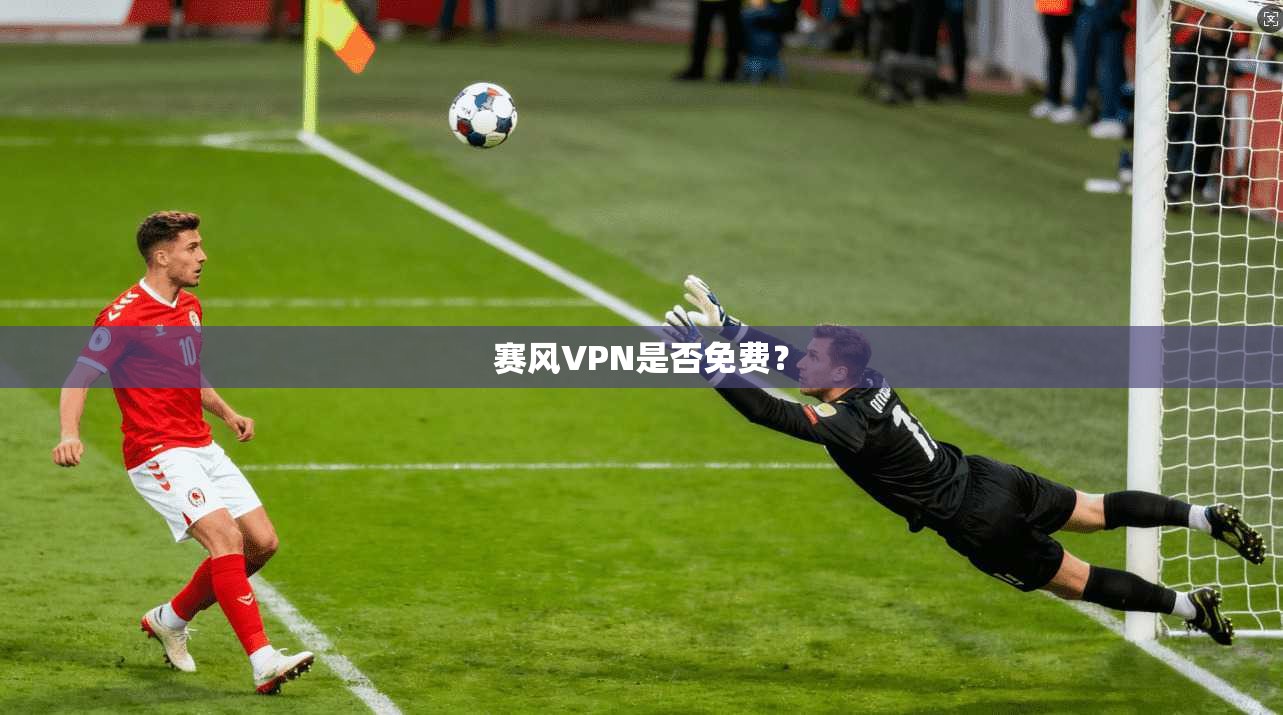 赛风VPN是否免费？