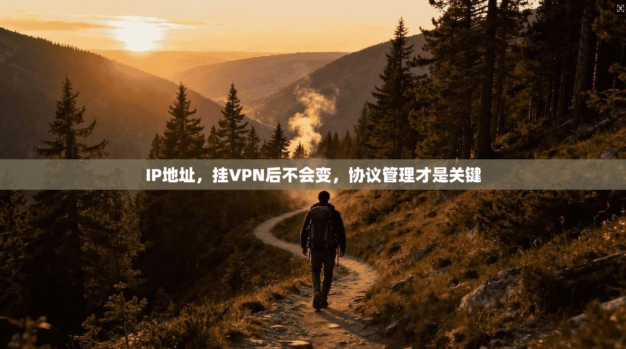 IP地址,挂VPN后不会变,协议管理才是关键
