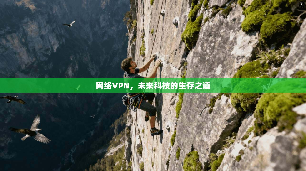 网络VPN，未来科技的生存之道