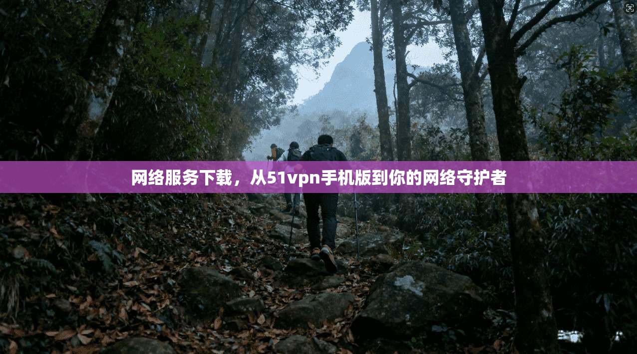 网络服务下载，从51vpn手机版到你的网络守护者