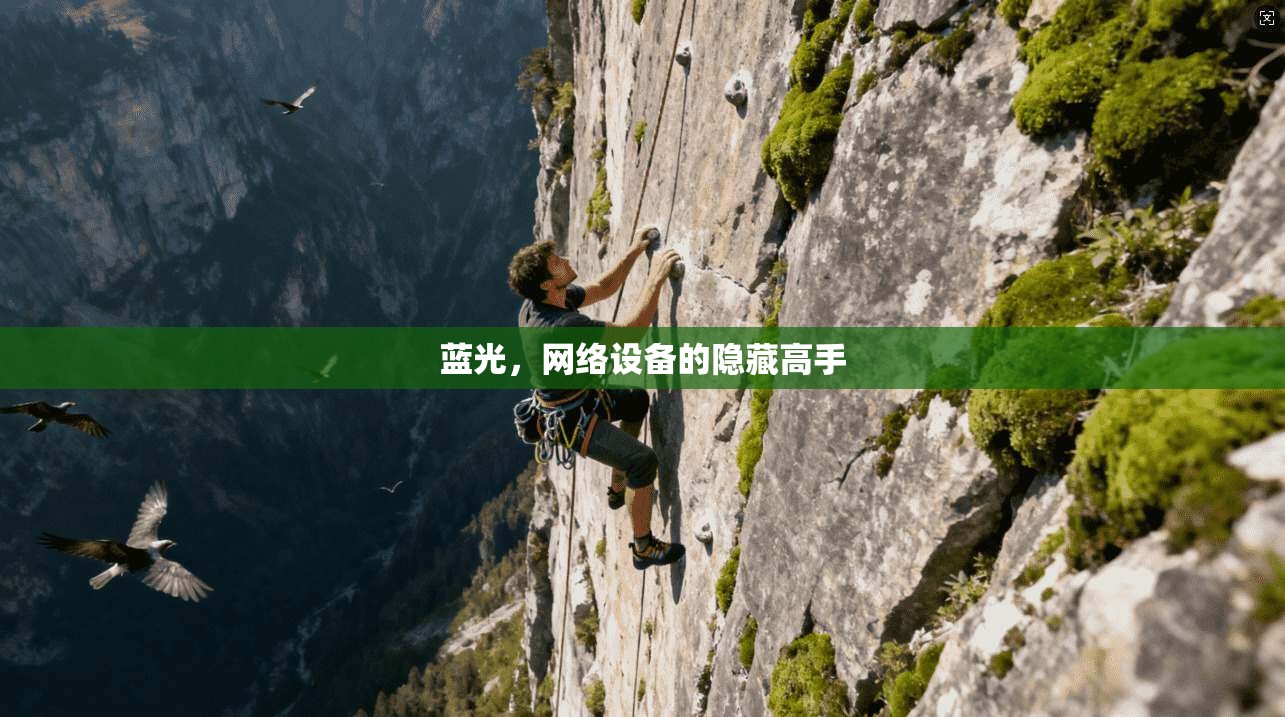蓝光，网络设备的隐藏高手