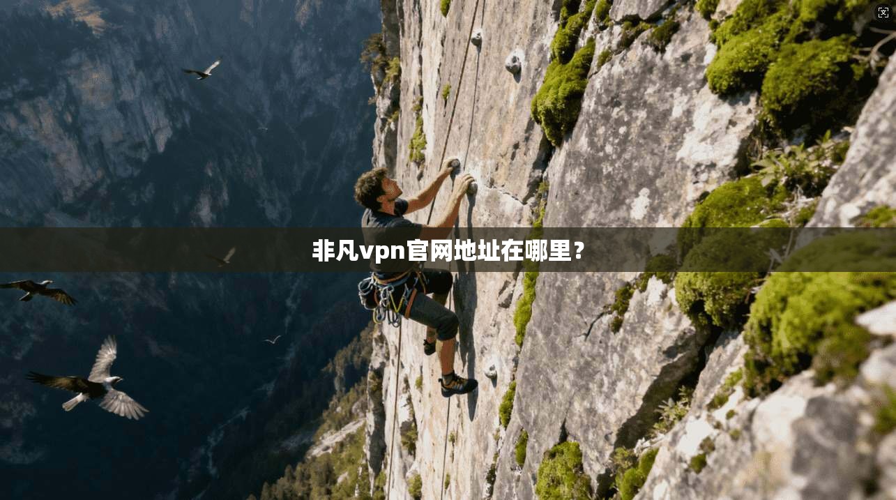 非凡vpn官网地址在哪里？