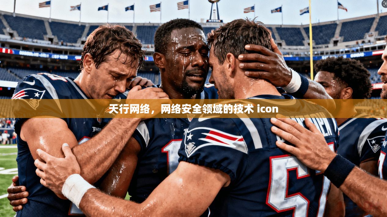 天行网络，网络安全领域的技术 icon