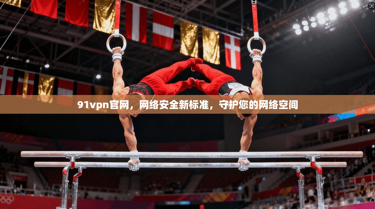 91vpn官网，网络安全新标准，守护您的网络空间