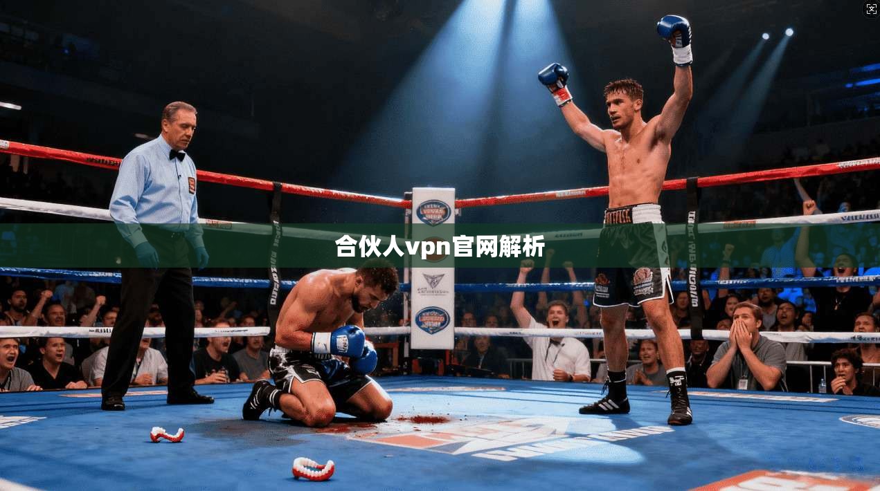 合伙人vpn官网解析