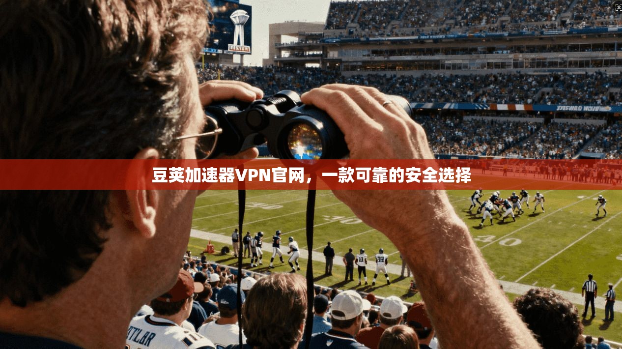 豆荚加速器VPN官网，一款可靠的安全选择