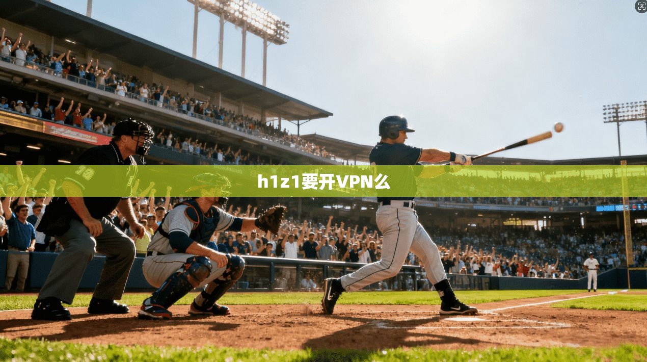 h1z1要开VPN么