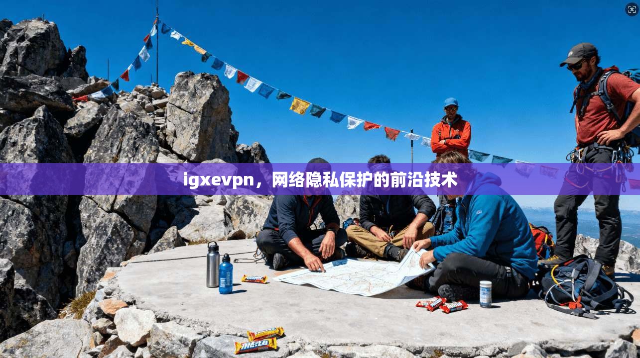 igxevpn,网络隐私保护的前沿技术