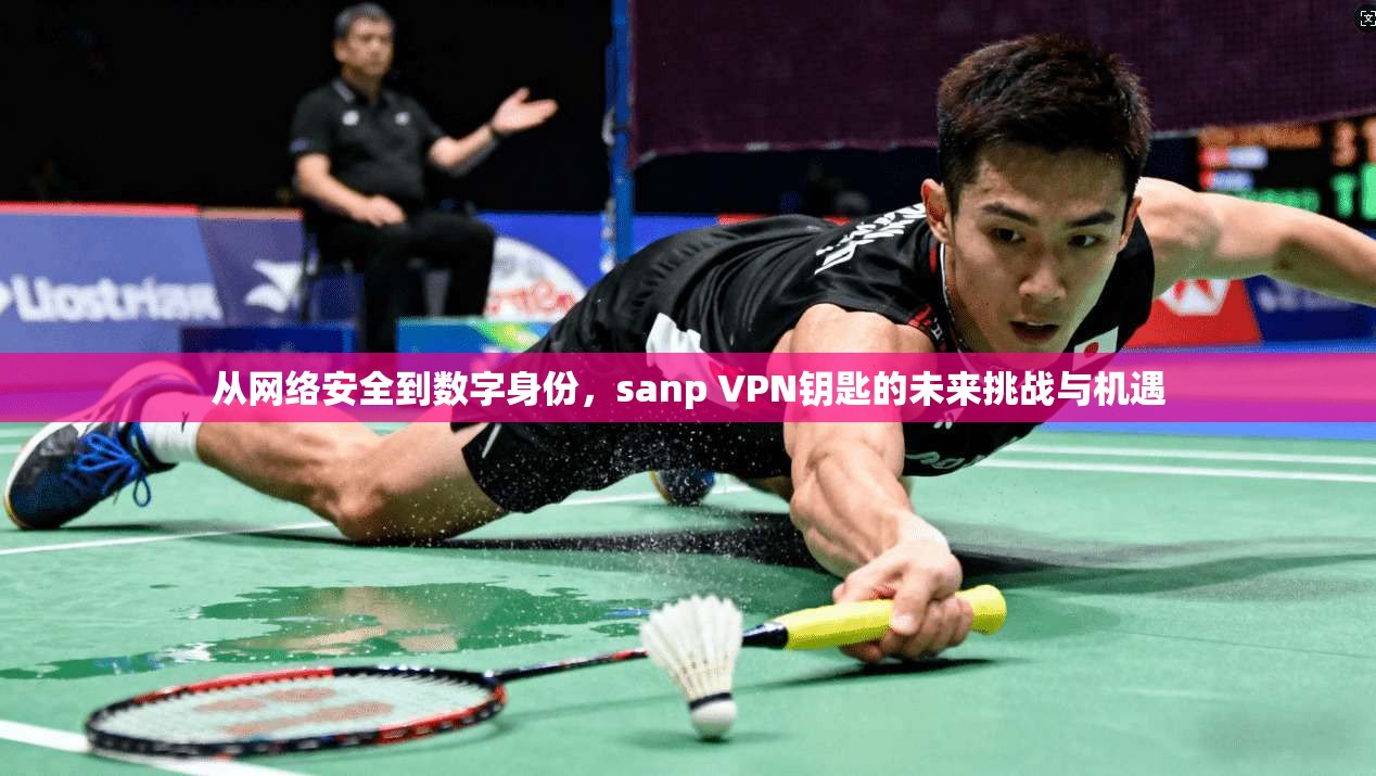 从网络安全到数字身份,sanp VPN钥匙的未来挑战与机遇