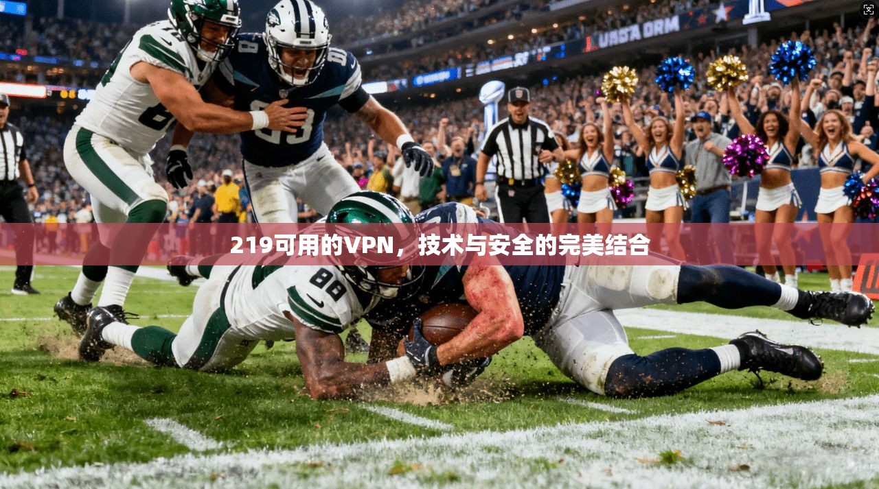 219可用的VPN，技术与安全的完美结合