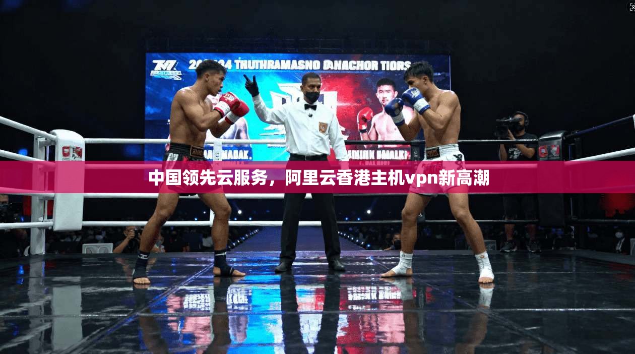 中国领先云服务,阿里云香港主机vpn新高潮