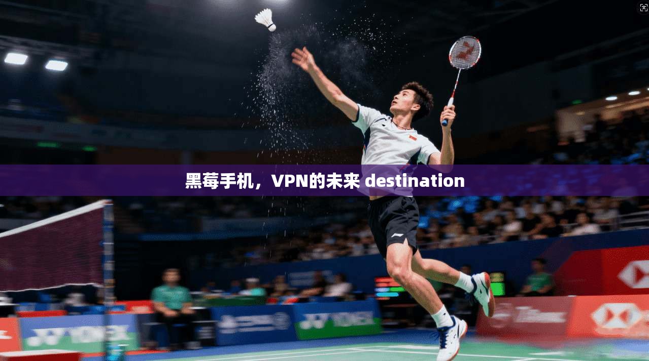 黑莓手机，VPN的未来 destination