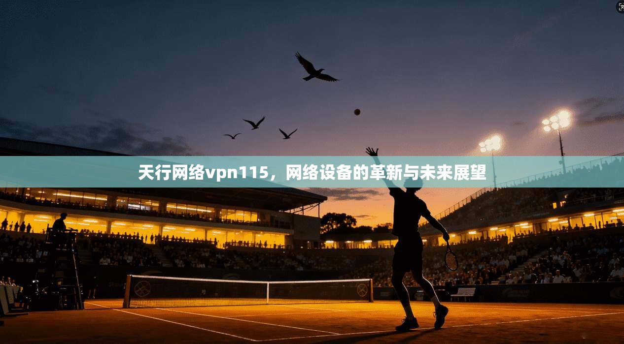 天行网络vpn115，网络设备的革新与未来展望