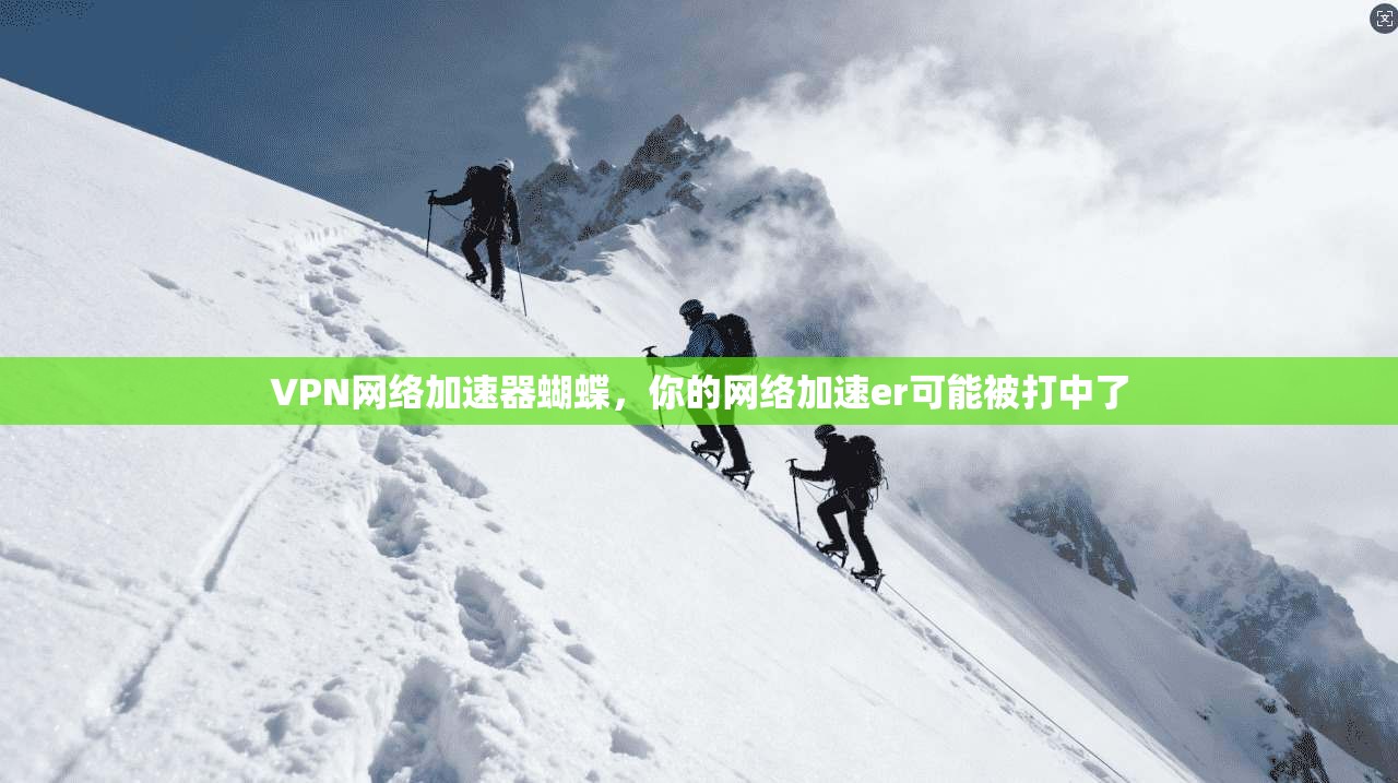 VPN网络加速器蝴蝶，你的网络加速er可能被打中了