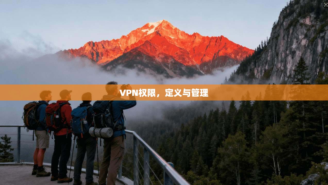 VPN权限,定义与管理
