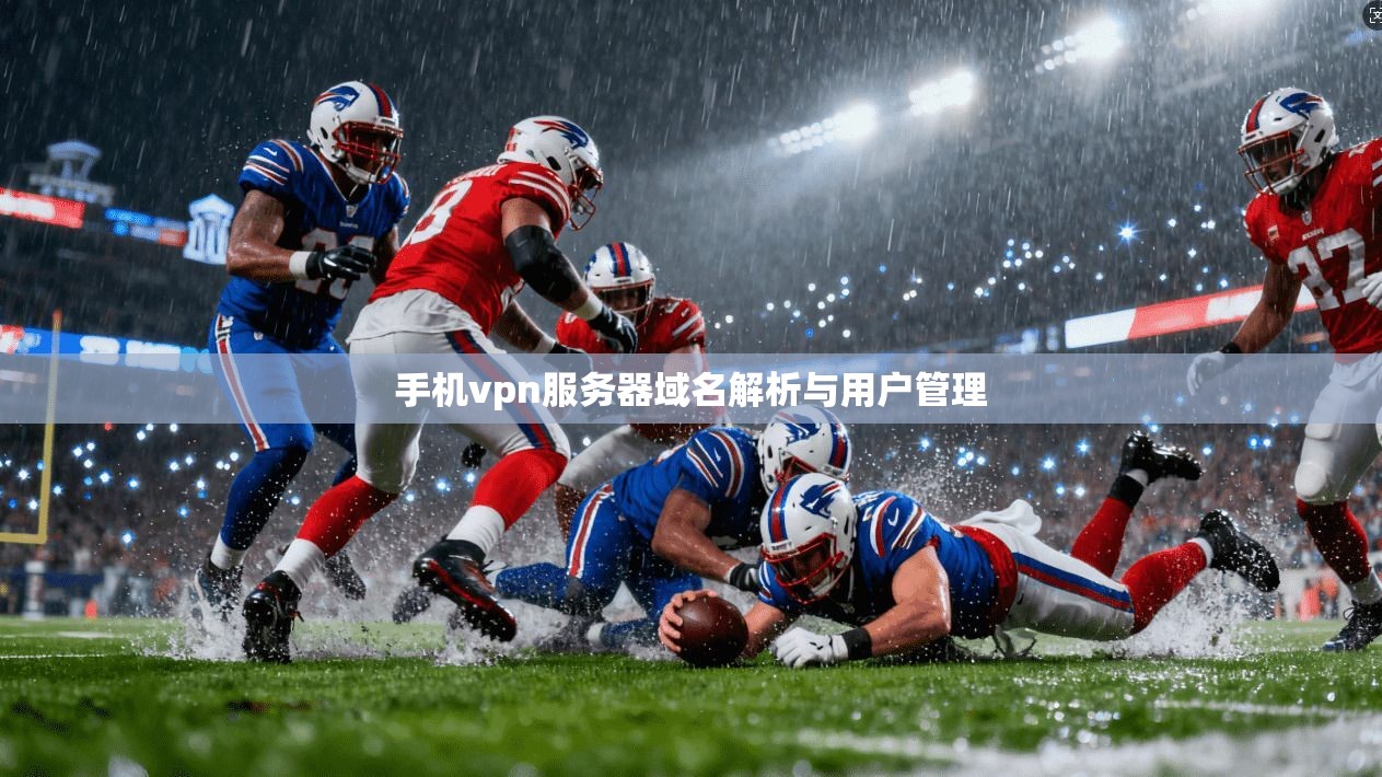 手机vpn服务器域名解析与用户管理
