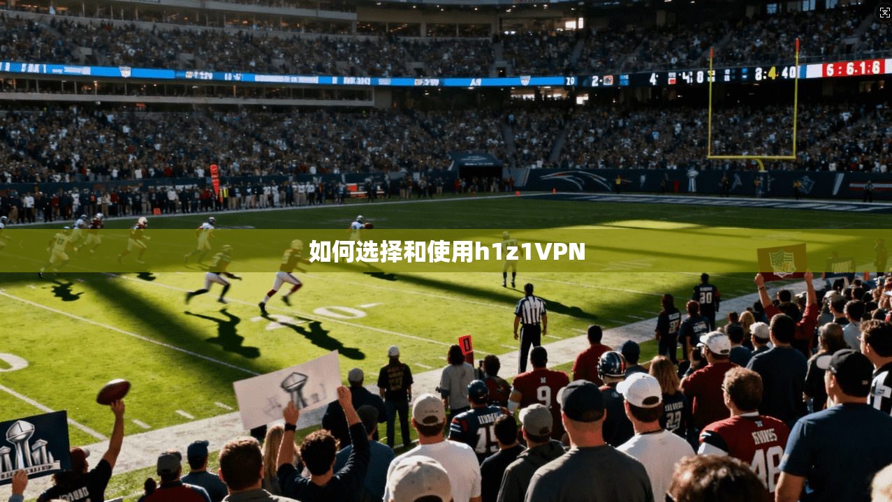如何选择和使用h1z1VPN