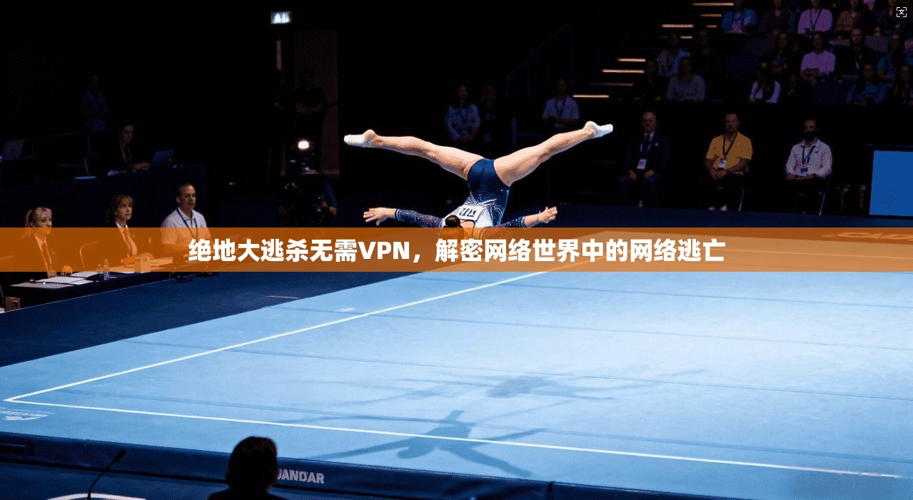 绝地大逃杀无需VPN，解密网络世界中的网络逃亡